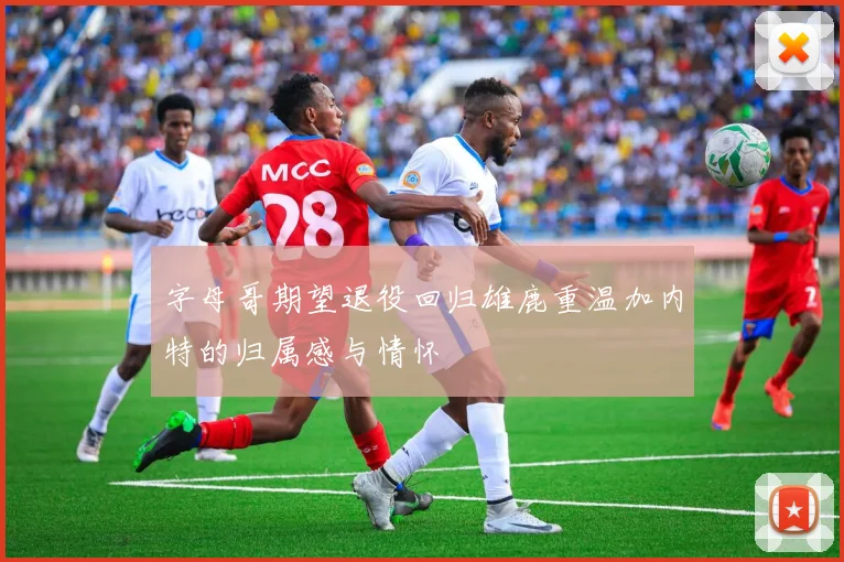 字母哥期望退役回归雄鹿重温加内特的归属感与情怀